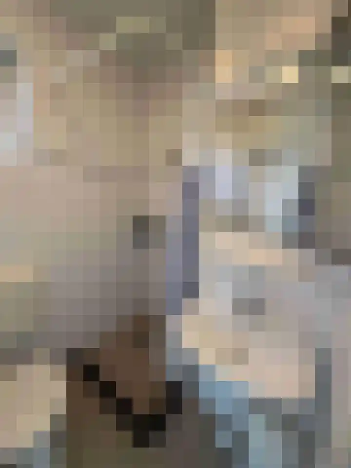 Droge Wijmersweg 5 041 Wervershoof thumbnail 11