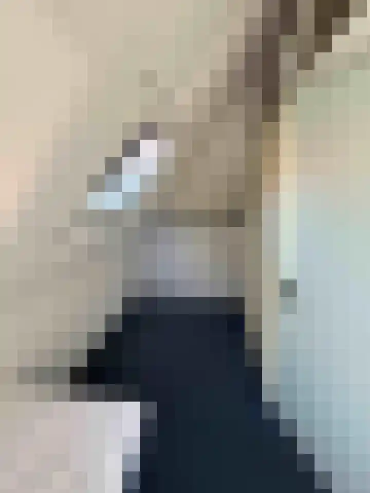 Droge Wijmersweg 5 041 Wervershoof thumbnail 13