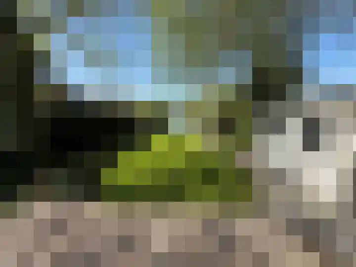 Droge Wijmersweg 5 041 Wervershoof thumbnail 17