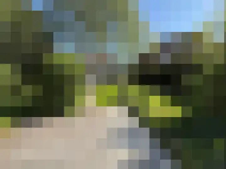 Droge Wijmersweg 5 041 Wervershoof thumbnail 18