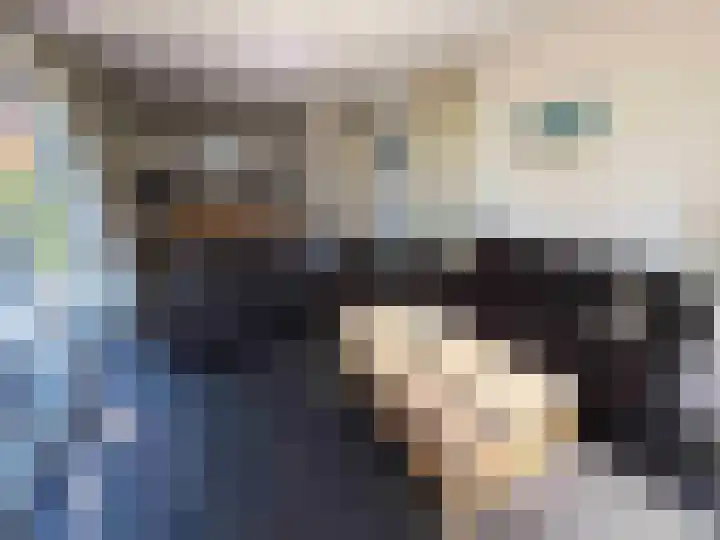 Droge Wijmersweg 5 041 Wervershoof thumbnail 5