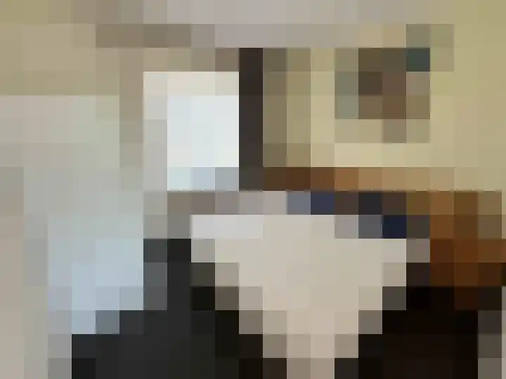 Droge Wijmersweg 5 041 Wervershoof thumbnail 9