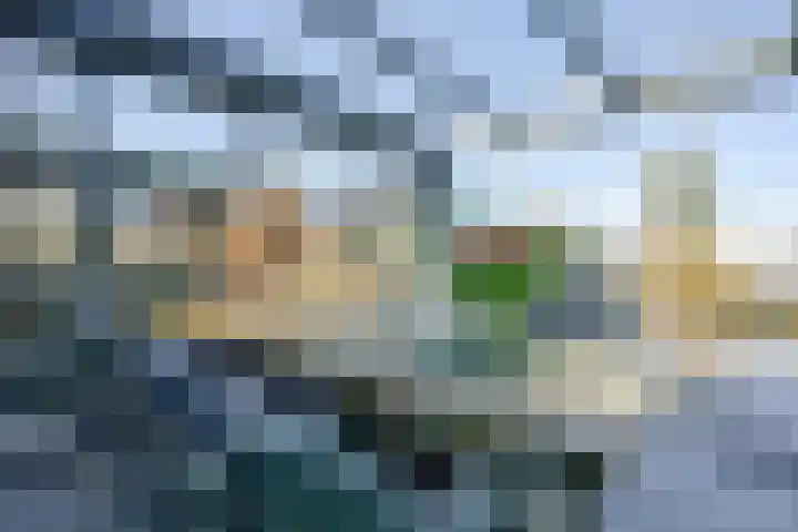 Droge Wijmersweg 5 045 Wervershoof thumbnail 15