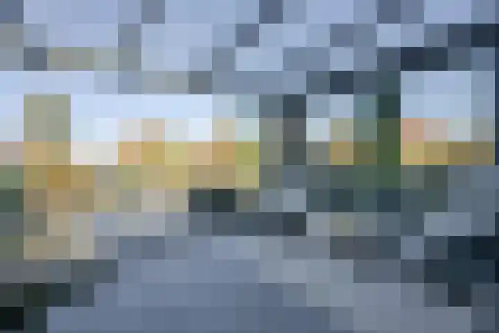 Droge Wijmersweg 5 045 Wervershoof thumbnail 16