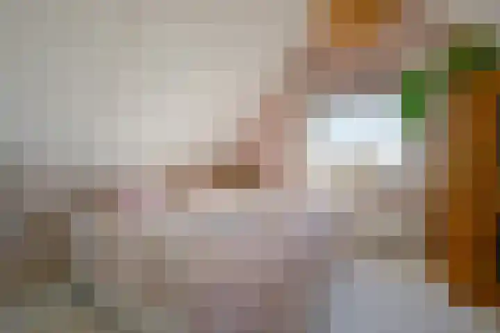 Droge Wijmersweg 5 045 Wervershoof thumbnail 22