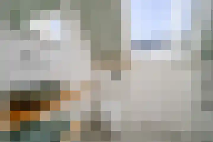 Droge Wijmersweg 5 045 Wervershoof thumbnail 29