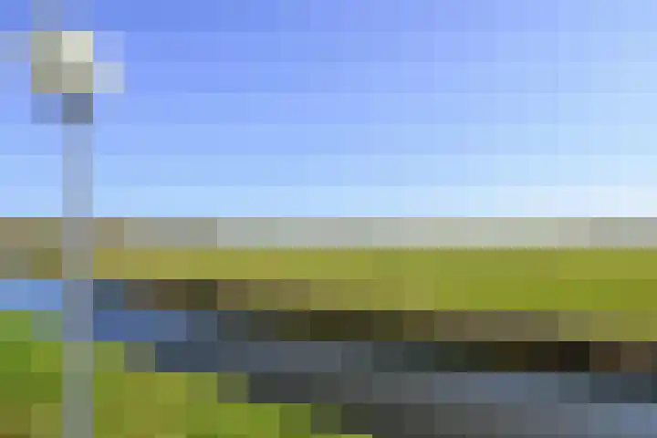 Droge Wijmersweg 5 045 Wervershoof thumbnail 44
