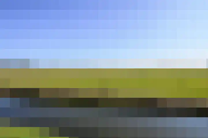 Droge Wijmersweg 5 045 Wervershoof thumbnail 45