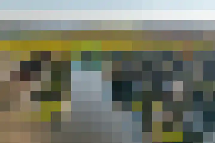 Droge Wijmersweg 5 045 Wervershoof thumbnail 48