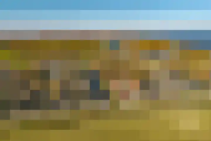 Droge Wijmersweg 5 045 Wervershoof thumbnail 51