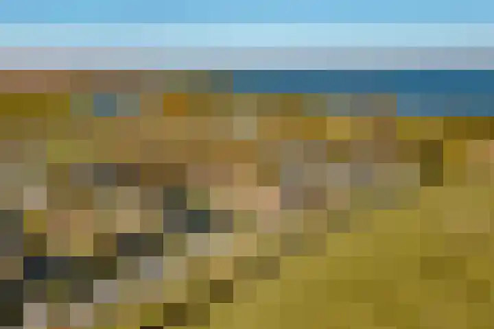 Droge Wijmersweg 5 045 Wervershoof thumbnail 52