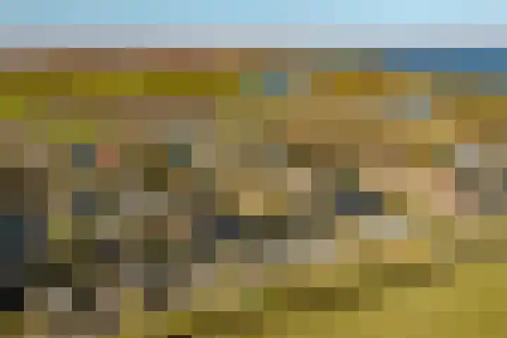 Droge Wijmersweg 5 045 Wervershoof thumbnail 53