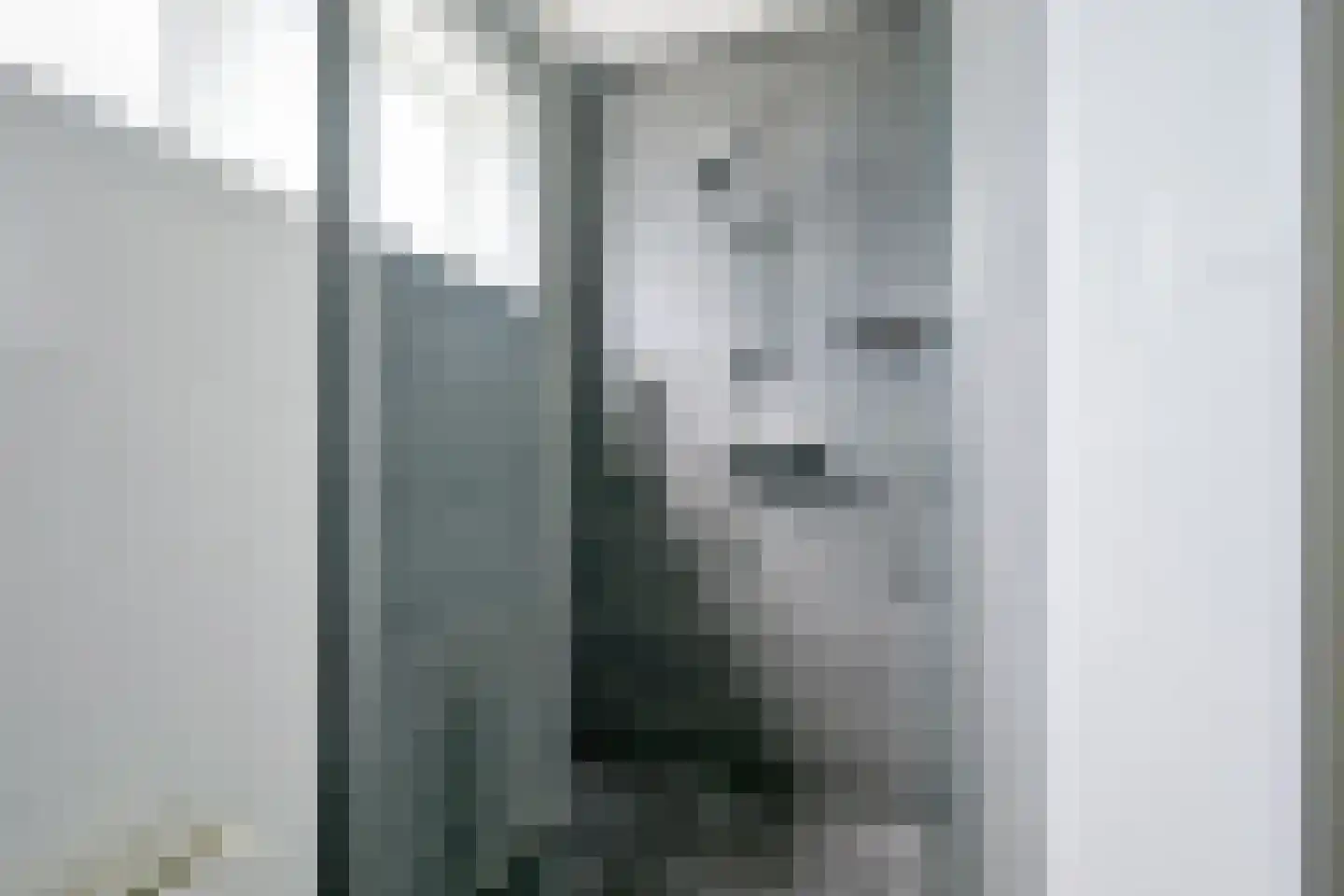 Droge Wijmersweg 5 060 Wervershoof thumbnail 20