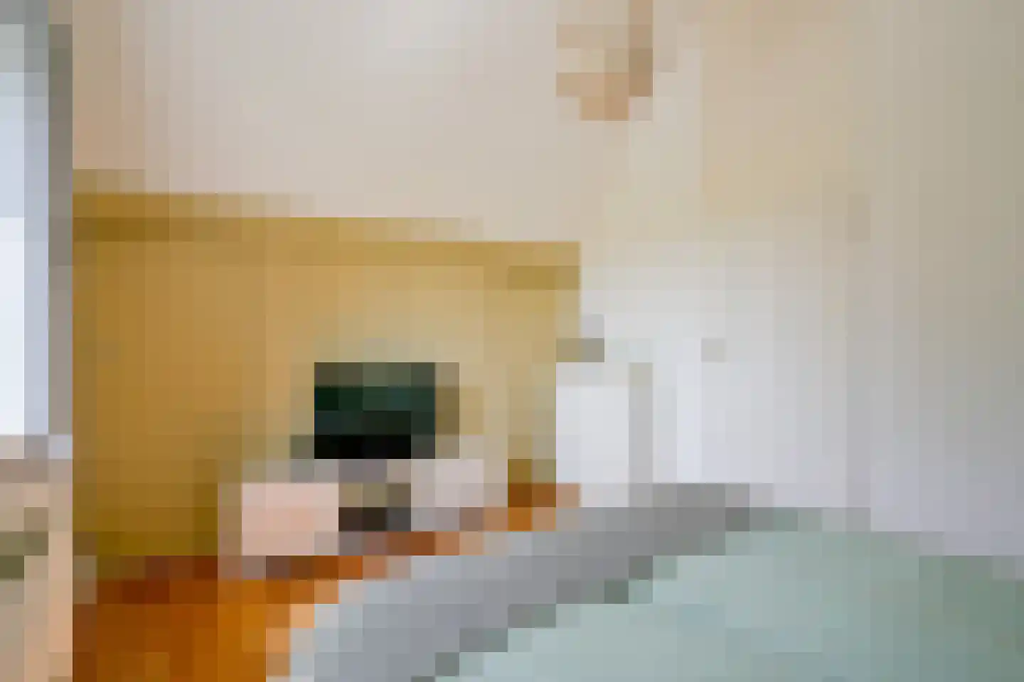 Droge Wijmersweg 5 060 Wervershoof thumbnail 29