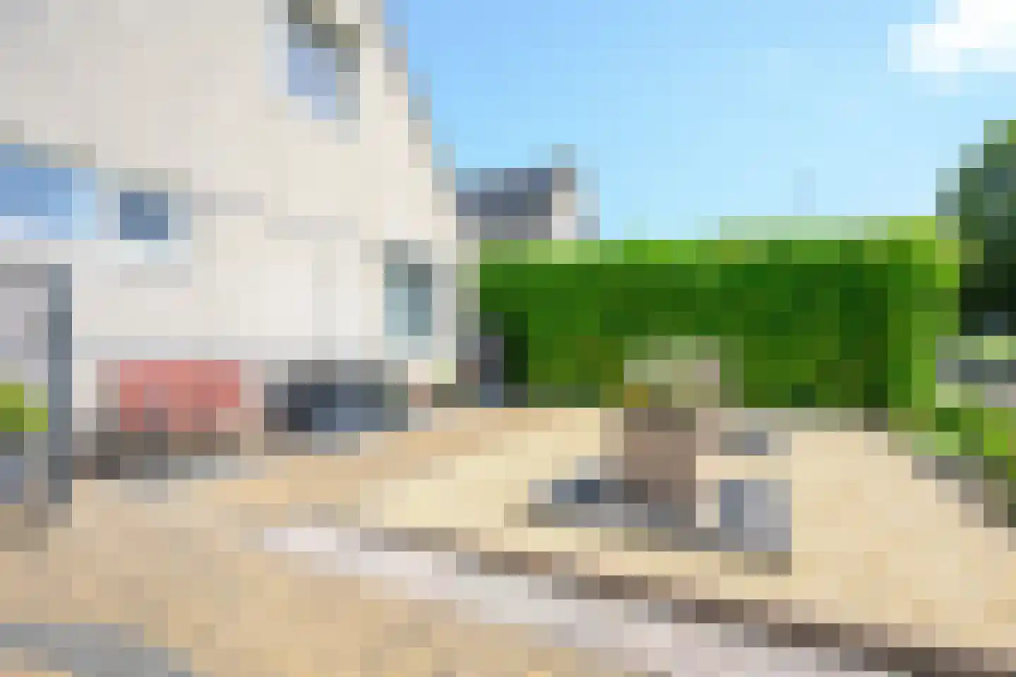 Droge Wijmersweg 5 060 Wervershoof thumbnail 42