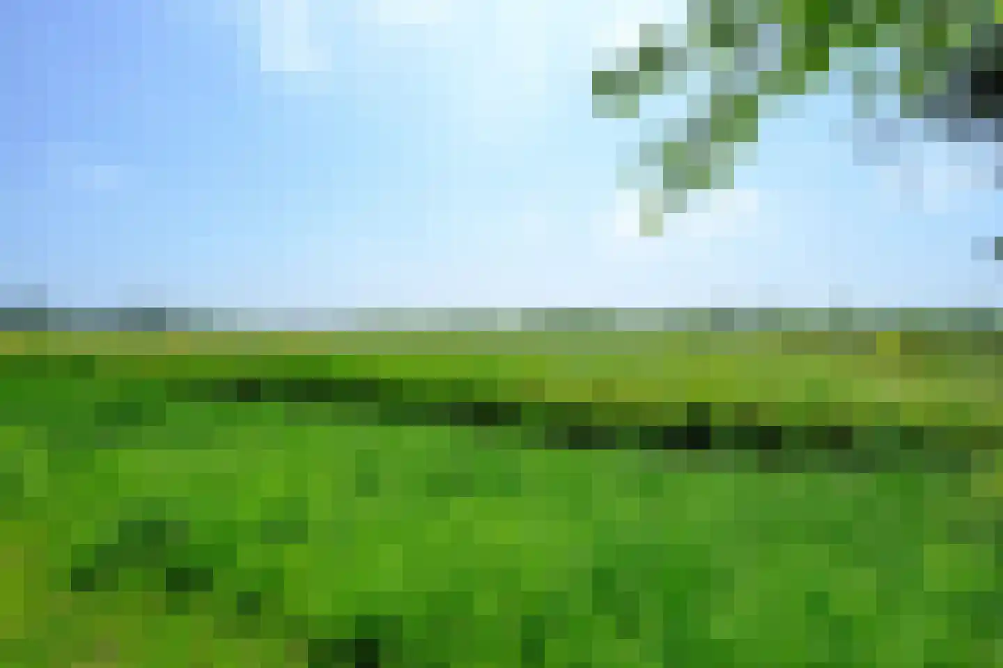 Droge Wijmersweg 5 060 Wervershoof thumbnail 45