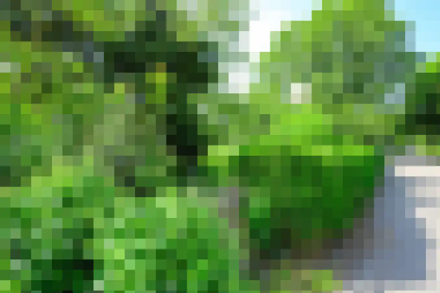 Droge Wijmersweg 5 060 Wervershoof thumbnail 50