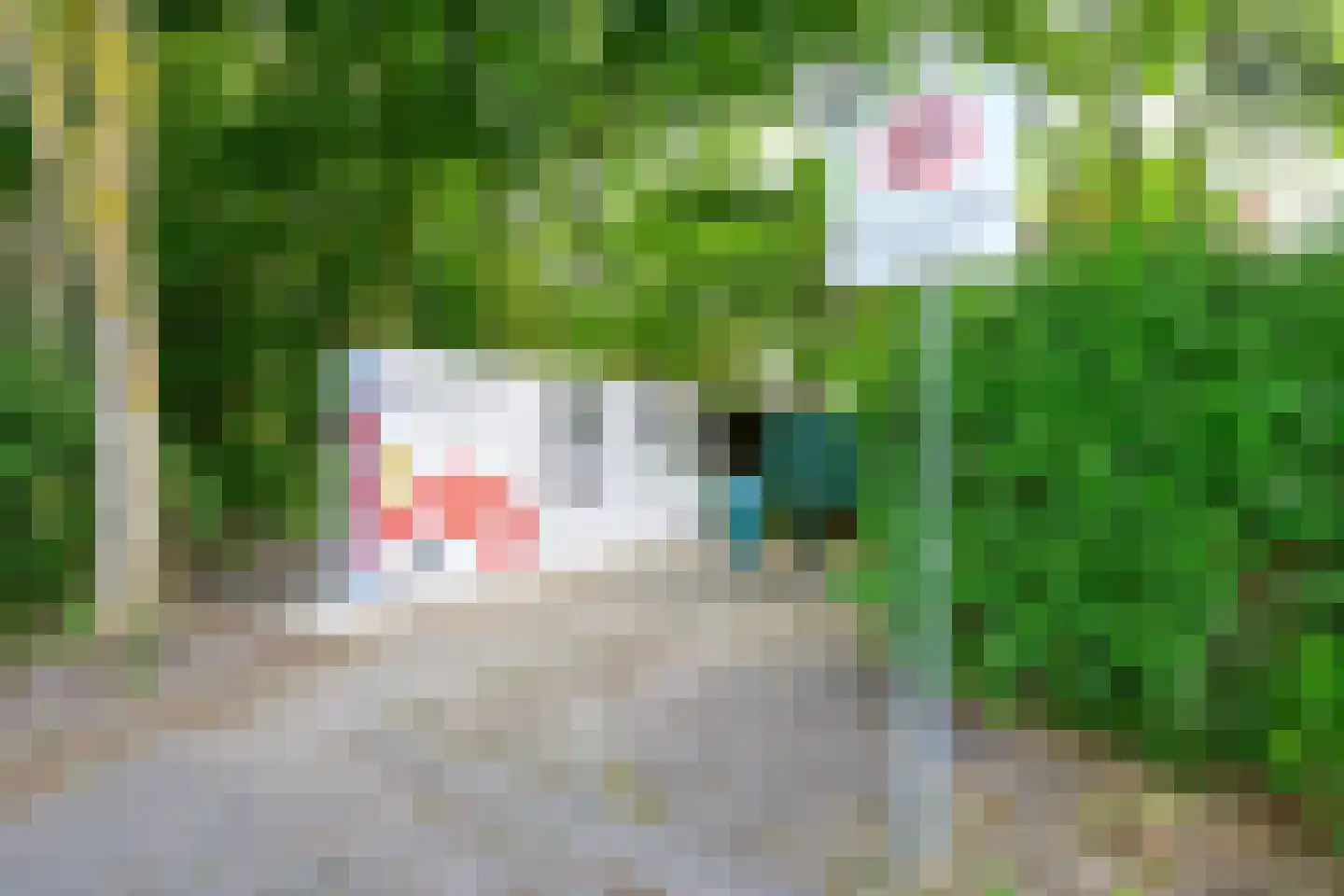 Droge Wijmersweg 5 060 Wervershoof thumbnail 53