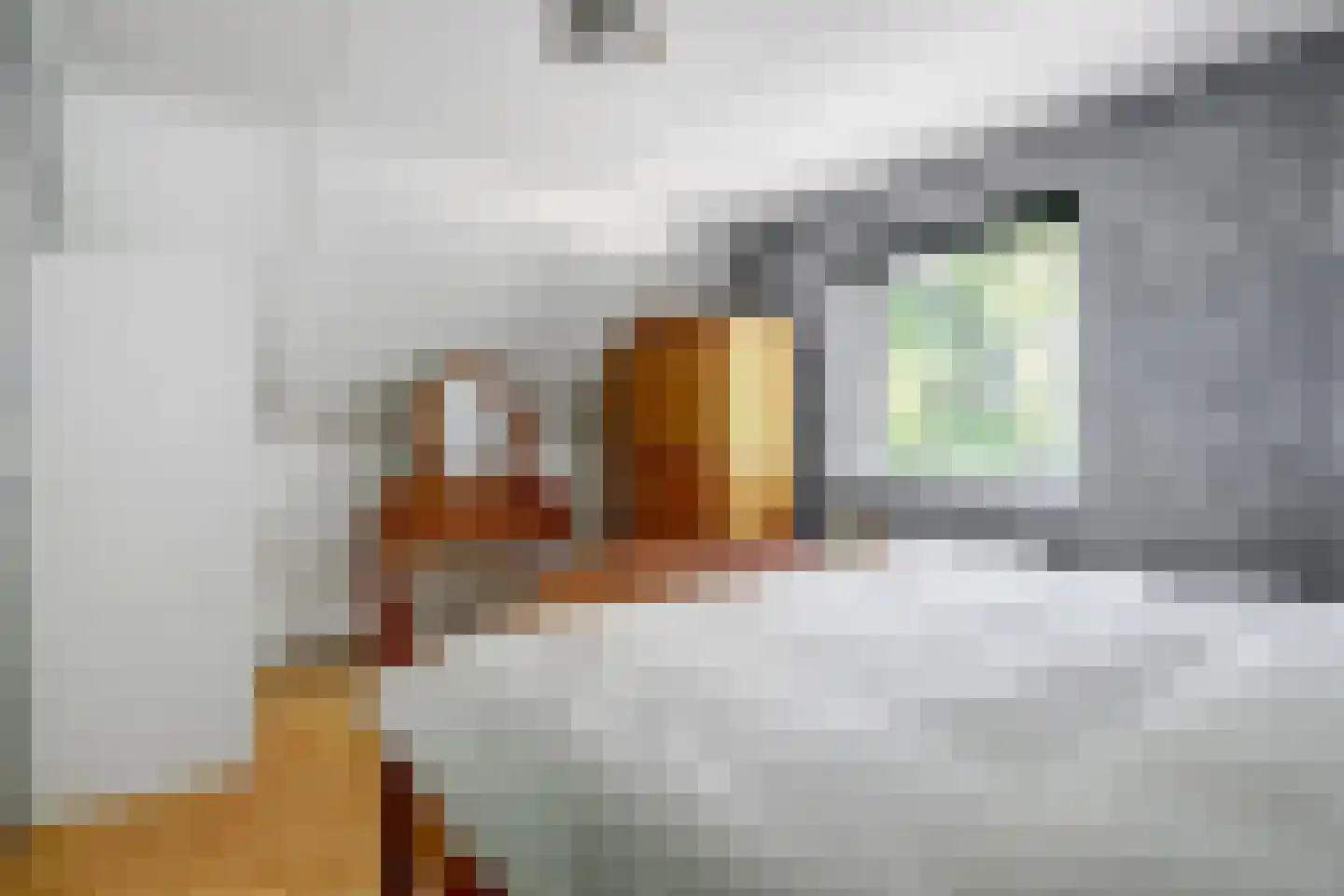 Droge Wijmersweg 5 066 Wervershoof thumbnail 20