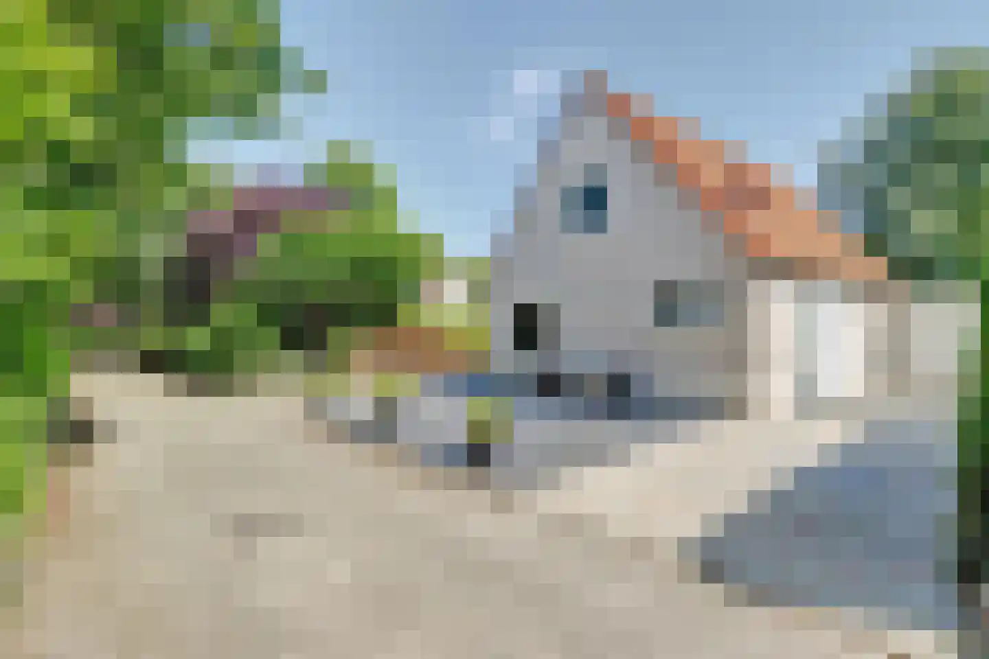 Droge Wijmersweg 5 066 Wervershoof thumbnail 27