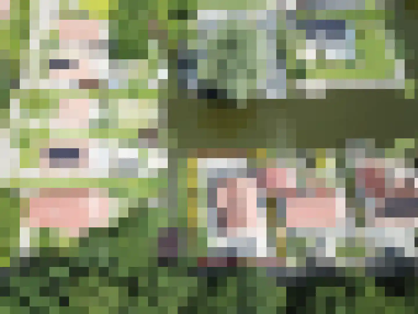 Droge Wijmersweg 5 066 Wervershoof thumbnail 32
