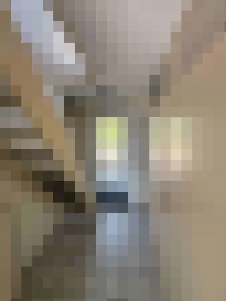Droge Wijmersweg 5 069 Wervershoof thumbnail 12