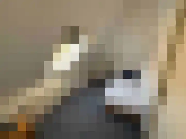 Droge Wijmersweg 5 069 Wervershoof thumbnail 15