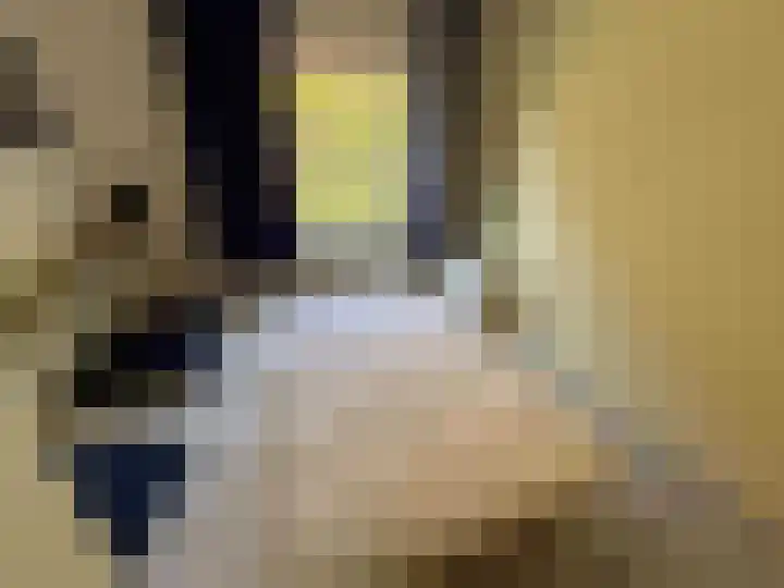 Droge Wijmersweg 5 069 Wervershoof thumbnail 7