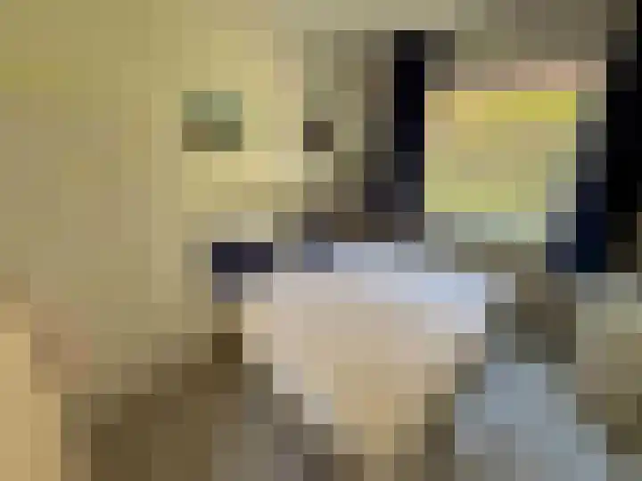 Droge Wijmersweg 5 069 Wervershoof thumbnail 8