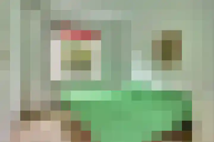 Droge Wijmersweg 5 099 Wervershoof thumbnail 10