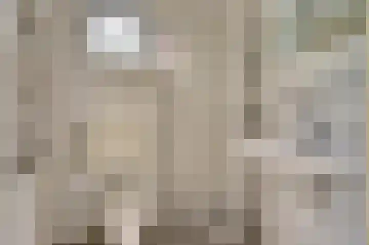 Droge Wijmersweg 5 099 Wervershoof thumbnail 11