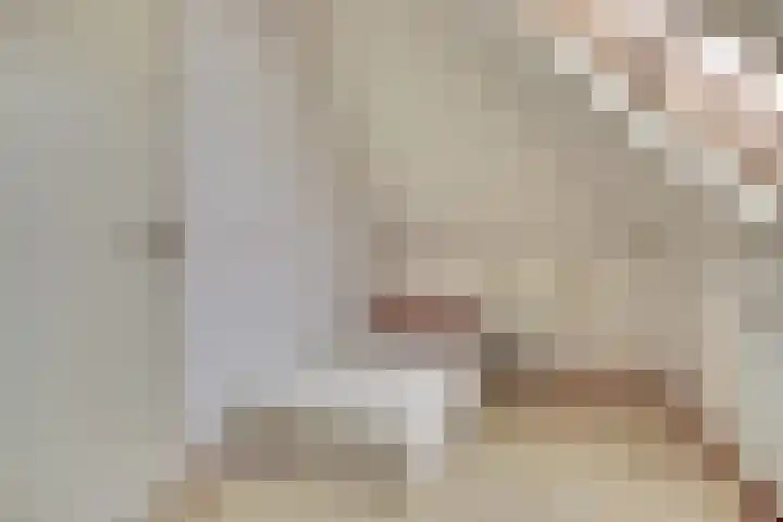 Droge Wijmersweg 5 099 Wervershoof thumbnail 16
