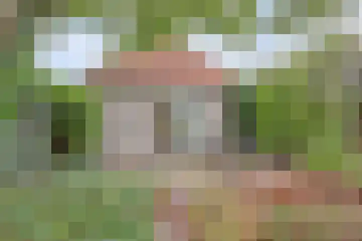 Droge Wijmersweg 5 099 Wervershoof thumbnail 19