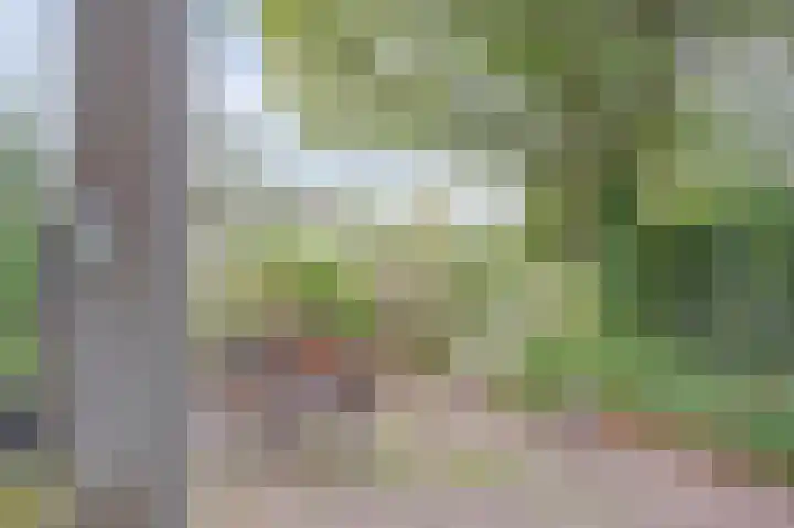 Droge Wijmersweg 5 099 Wervershoof thumbnail 20