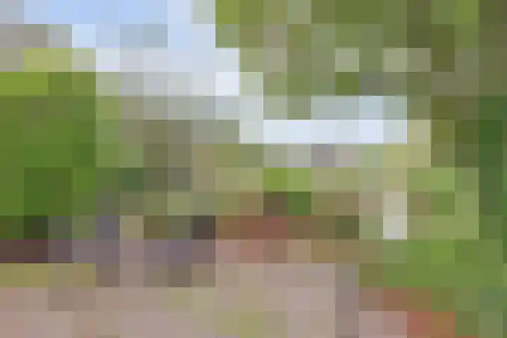 Droge Wijmersweg 5 099 Wervershoof thumbnail 21