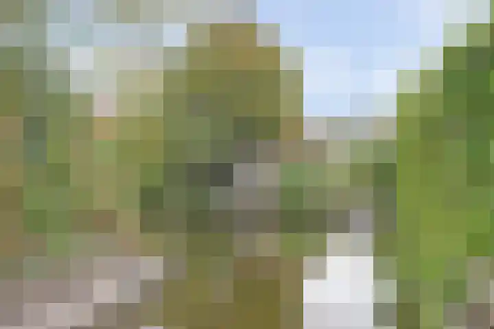 Droge Wijmersweg 5 099 Wervershoof thumbnail 22