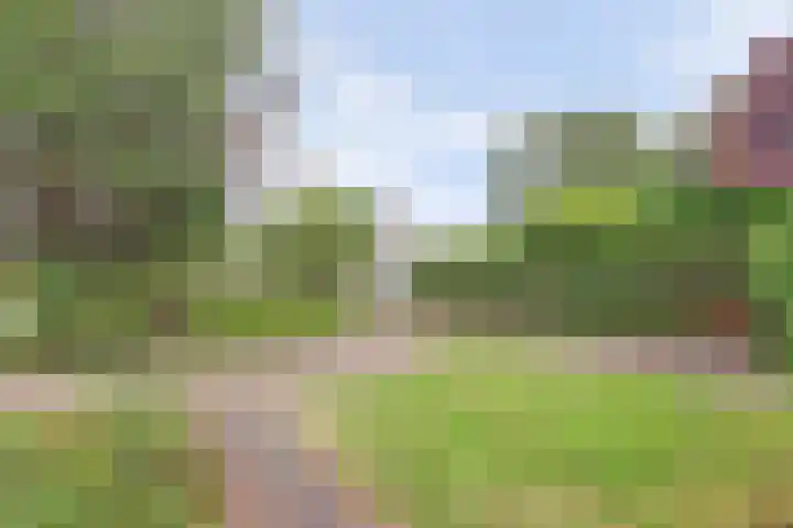 Droge Wijmersweg 5 099 Wervershoof thumbnail 24