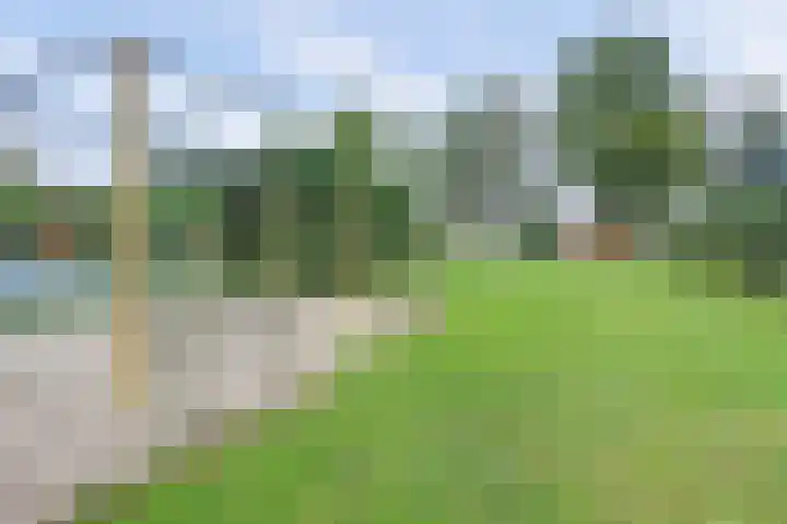 Droge Wijmersweg 5 099 Wervershoof thumbnail 25