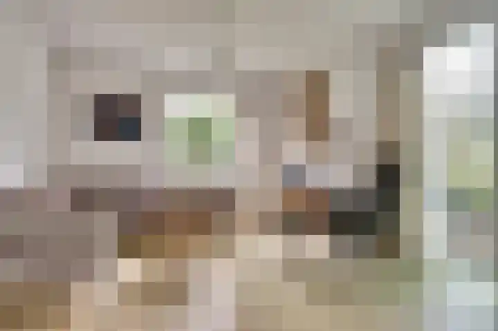 Droge Wijmersweg 5 099 Wervershoof thumbnail 4
