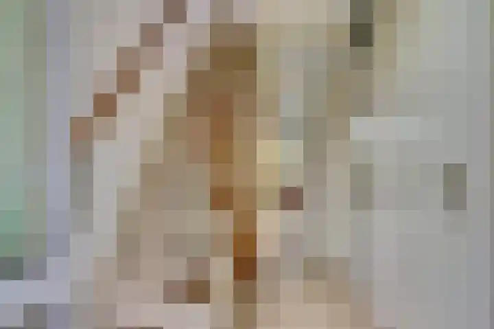 Droge Wijmersweg 5 099 Wervershoof thumbnail 9