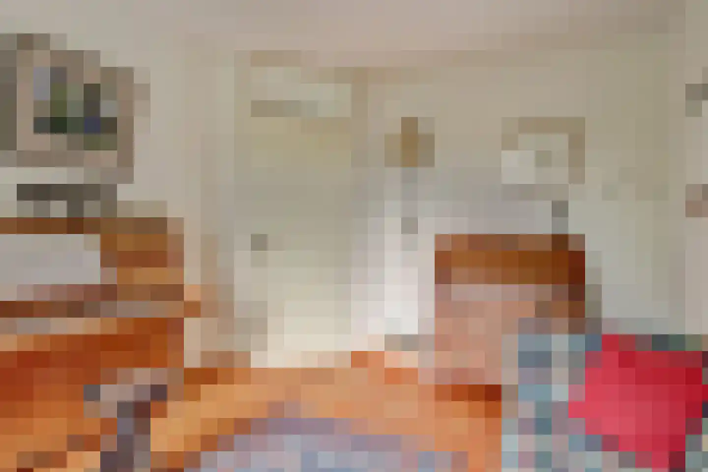 Droge Wijmersweg 5 100 Wervershoof thumbnail 11