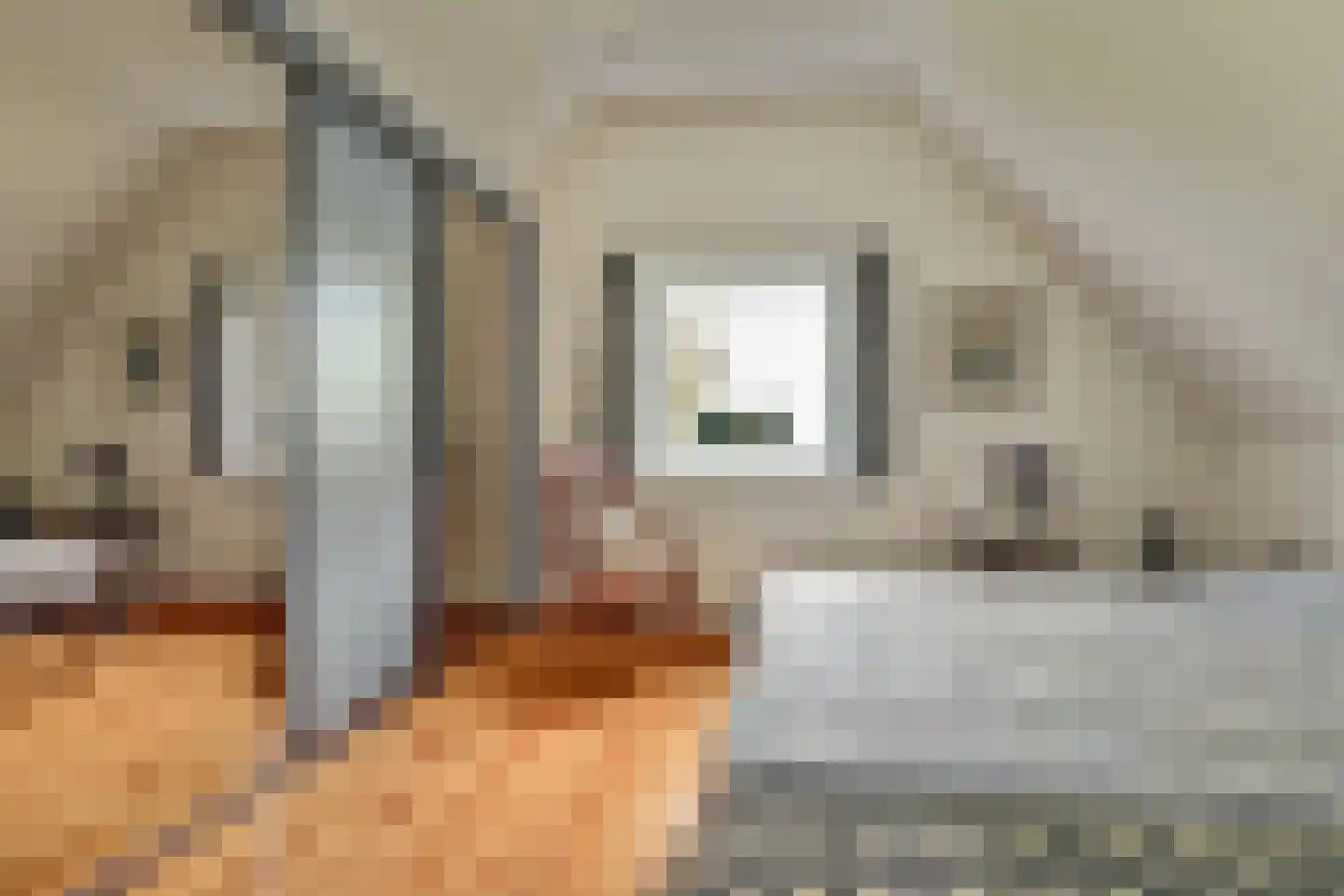 Droge Wijmersweg 5 100 Wervershoof thumbnail 15