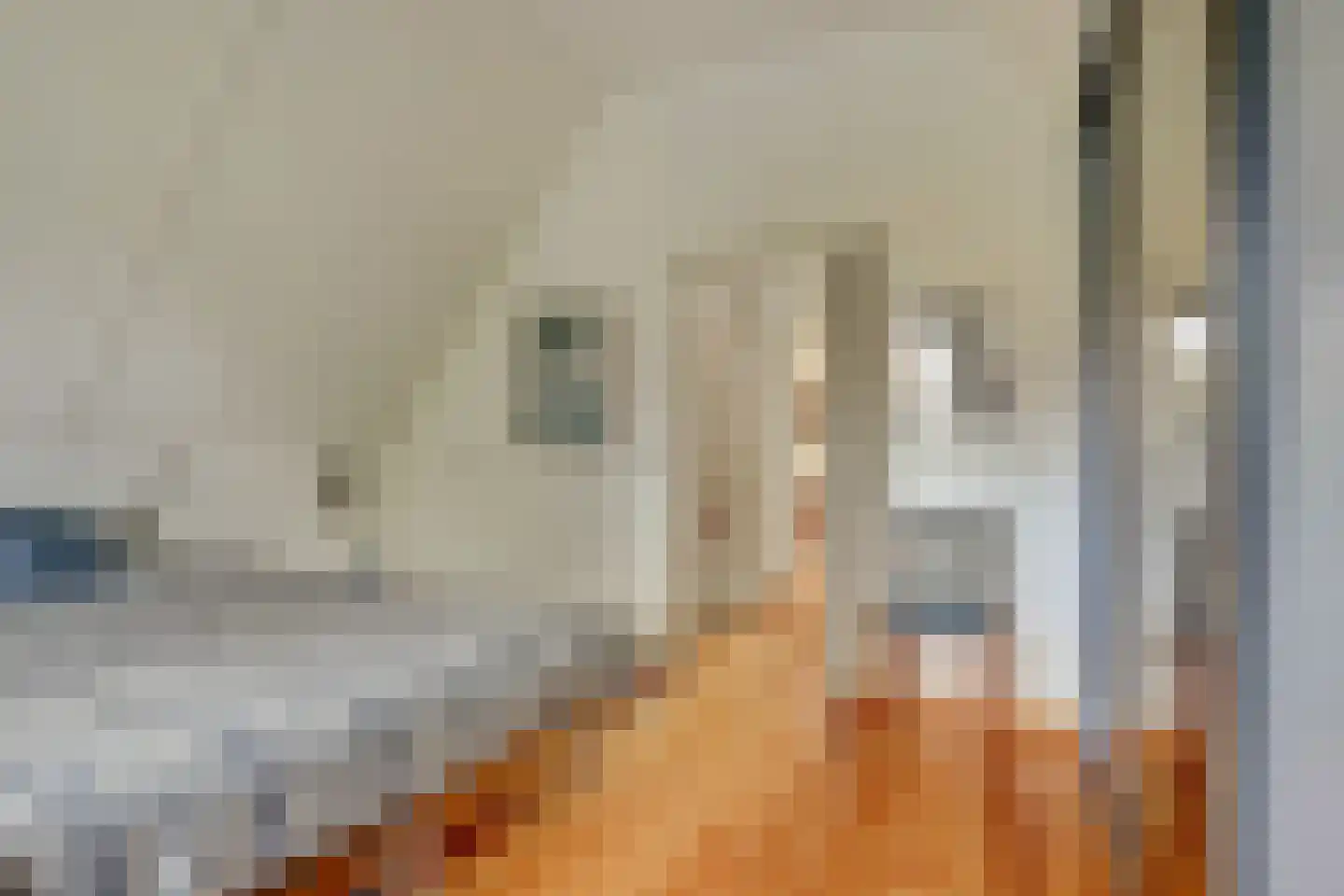 Droge Wijmersweg 5 100 Wervershoof thumbnail 16