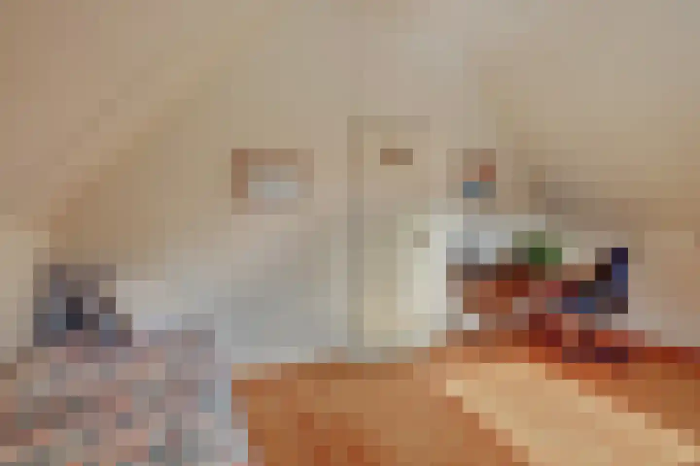 Droge Wijmersweg 5 100 Wervershoof thumbnail 18