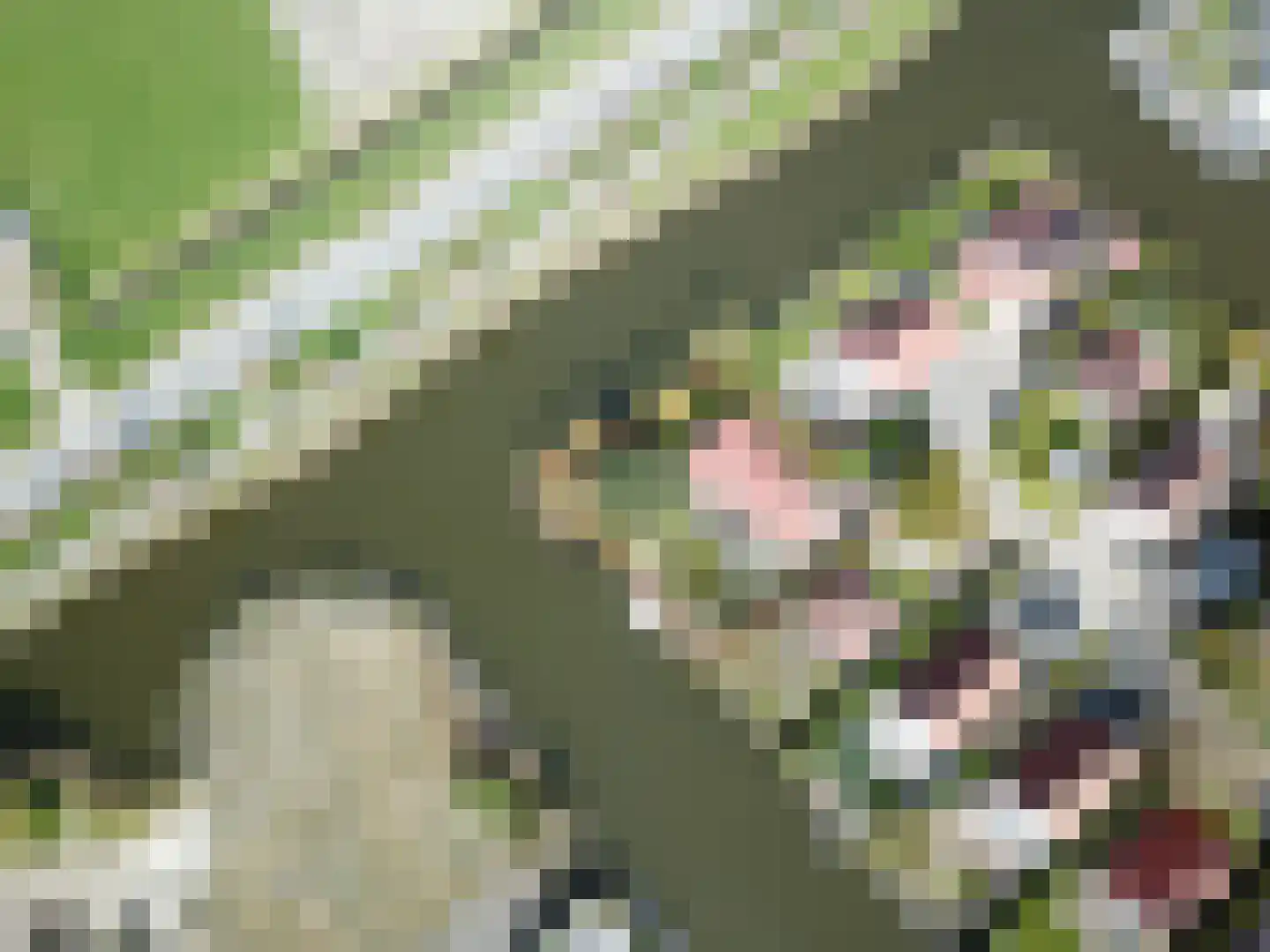 Droge Wijmersweg 5 100 Wervershoof thumbnail 22