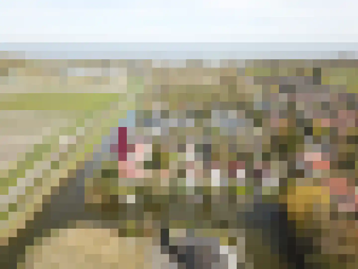 Droge Wijmersweg 5 100 Wervershoof thumbnail 33