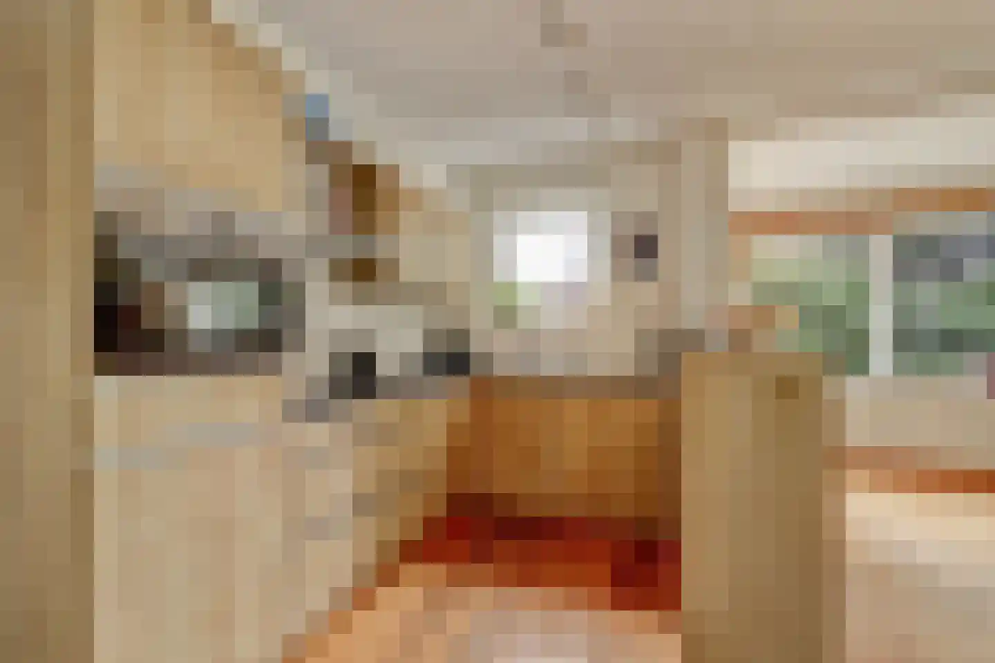 Droge Wijmersweg 5 100 Wervershoof thumbnail 4