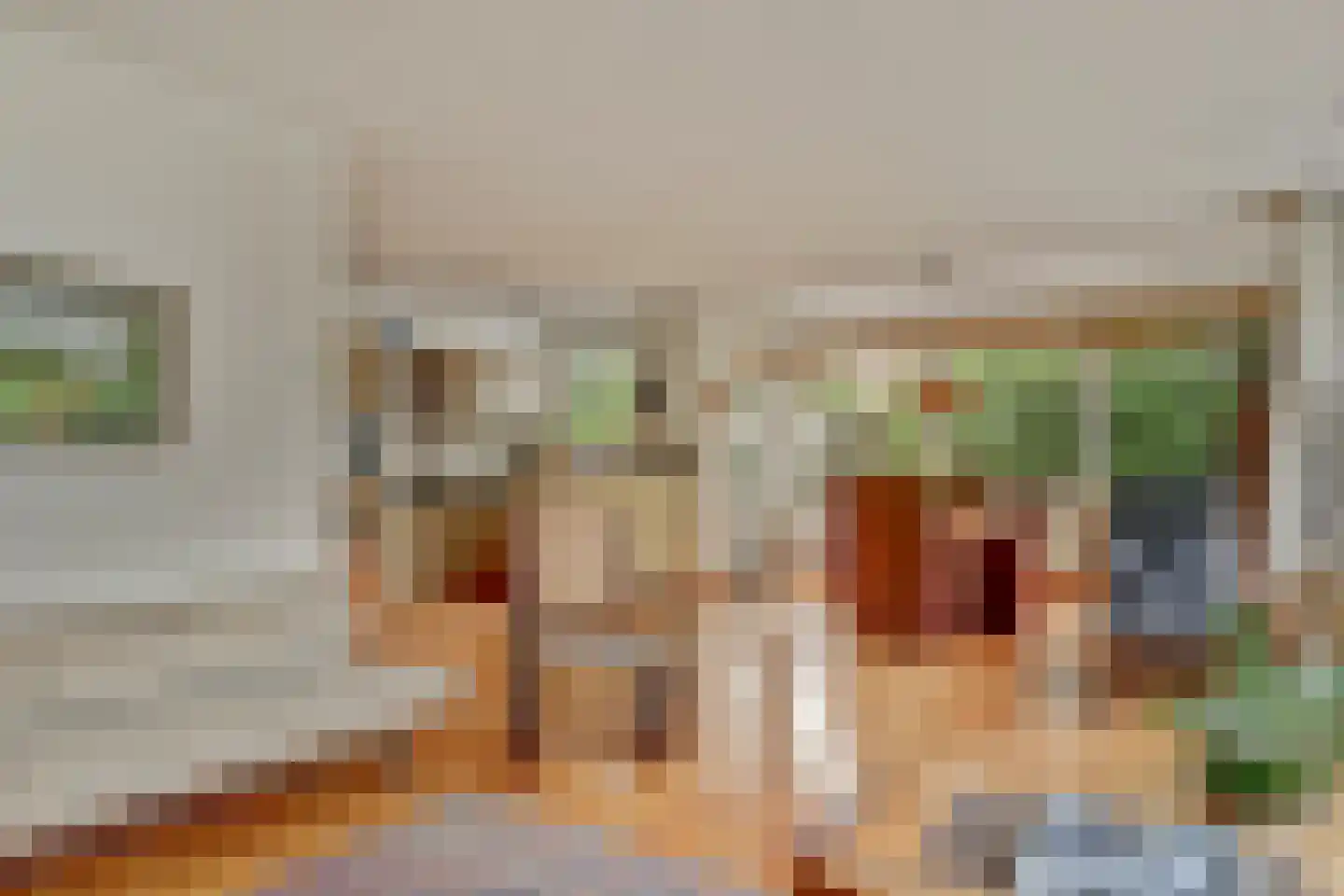 Droge Wijmersweg 5 100 Wervershoof thumbnail 6