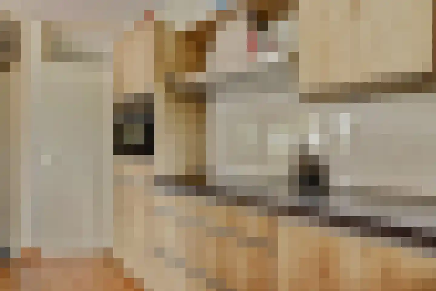 Droge Wijmersweg 5 100 Wervershoof thumbnail 8