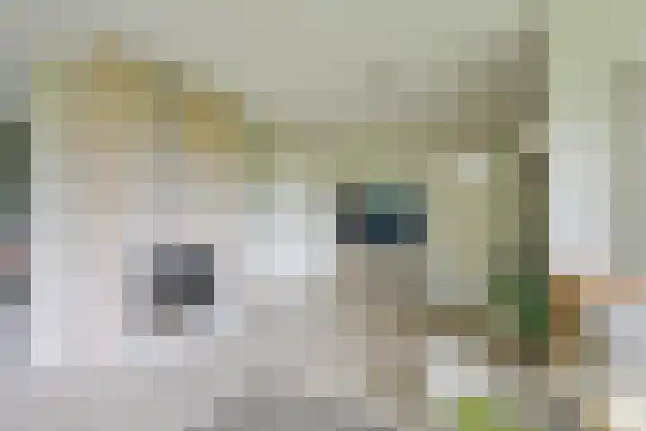 Droge Wijmersweg 5 102 Wervershoof thumbnail 10
